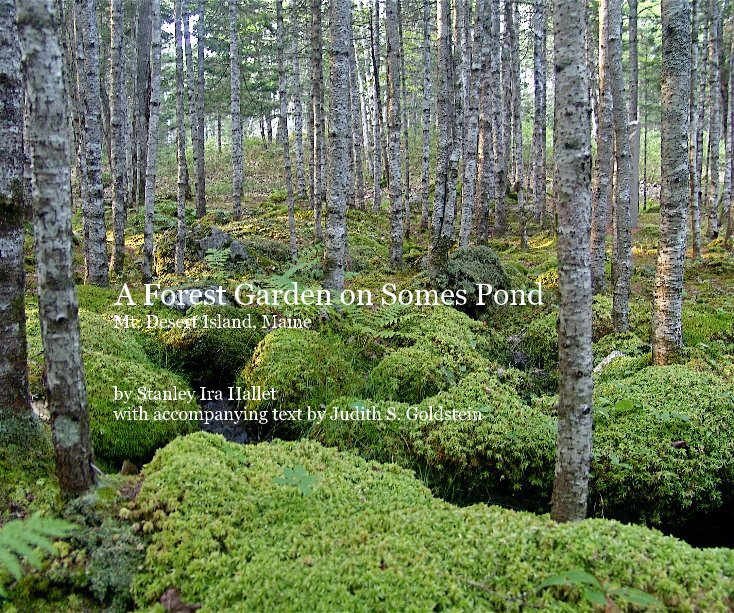 View A Forest Garden on Somes Pond Mt. Desert Island, Maine by Stanley Ira Hallet with accompanying text by Judith S. Goldstein