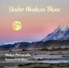 Under Alaskan Skies book cover