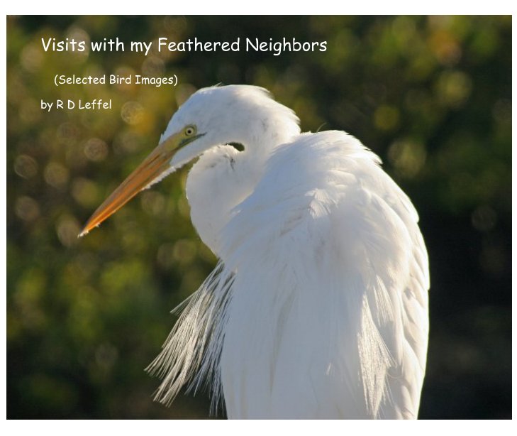 View Visits with my Feathered Neighbors by R D Leffel