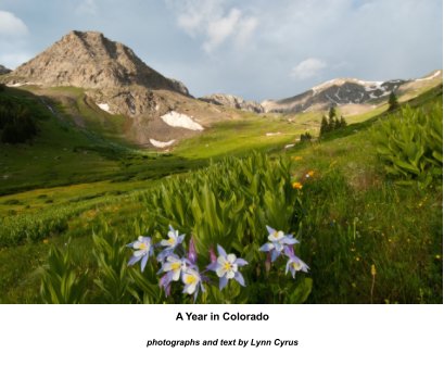 A Year in Colorado book cover