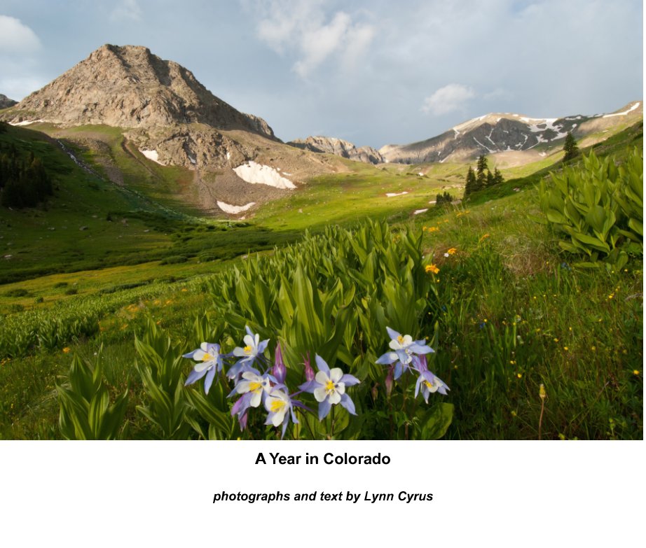 View A Year in Colorado by Lynn Cyrus