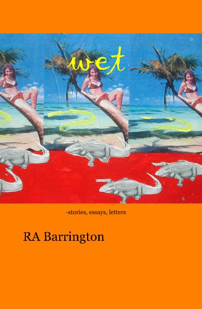 View wet -stories, essays, letters by RA Barrington