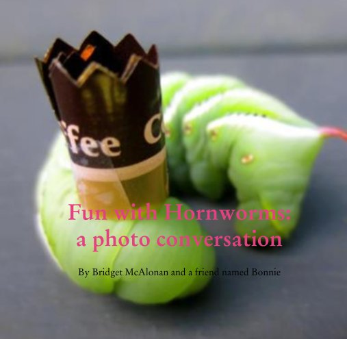 View Fun with Hornworms:
a photo conversation by Bridget McAlonan and a friend named Bonnie