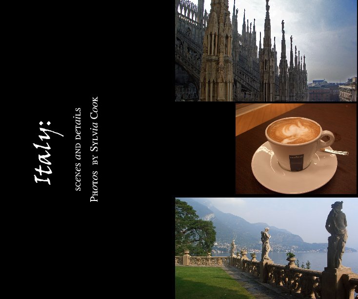 View Italy: Scenes and Details by Sylvia Cook