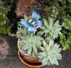 Billy Butterfly book cover