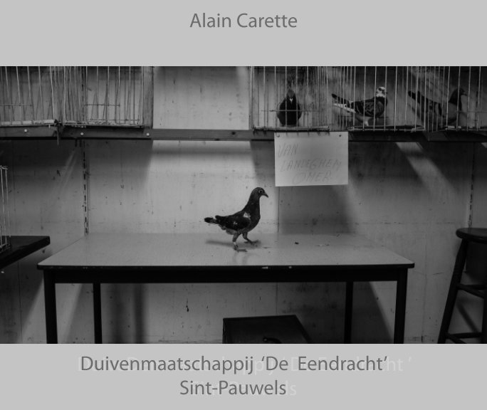 Ver duivenclub De Eendracht Sint-Pauwels por Carette Alain