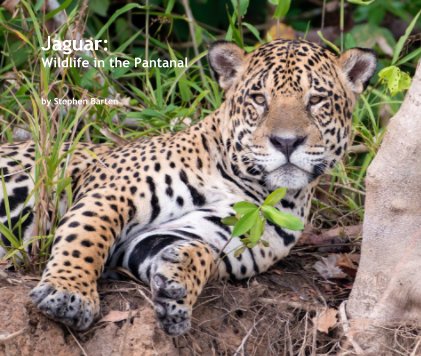 Jaguar: Wildlife in the Pantanal book cover