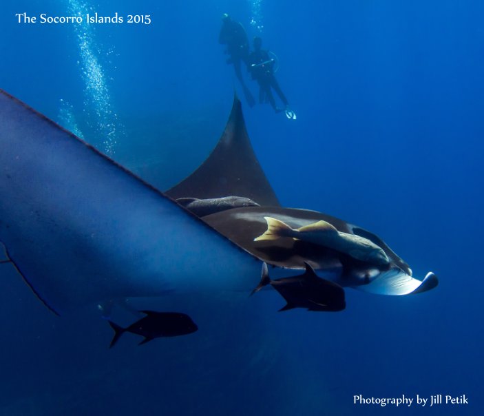 View The Socorro Islands May 2015 by Jill Petik  Nature In View, LLC