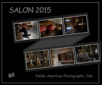 Salon 2015 book cover