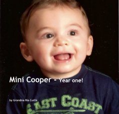 Mini Cooper - Year one! book cover