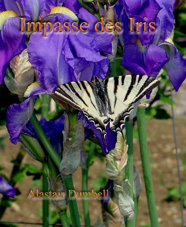 View Impasse des Iris by Alastair Dumbell
