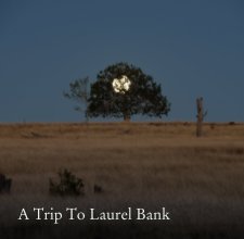 A Trip To Laurel Bank book cover