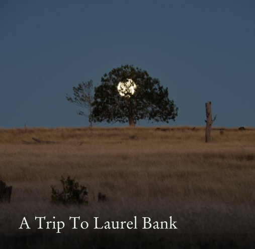 Visualizza A Trip To Laurel Bank di Dave Swain
