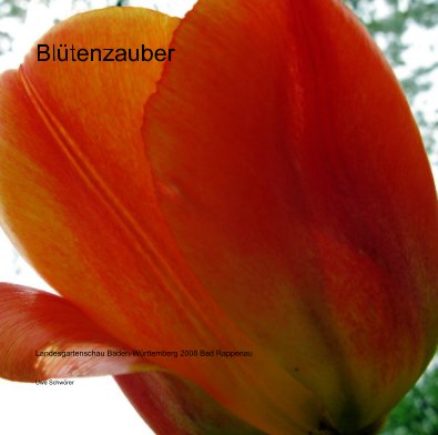 Blütenzauber book cover