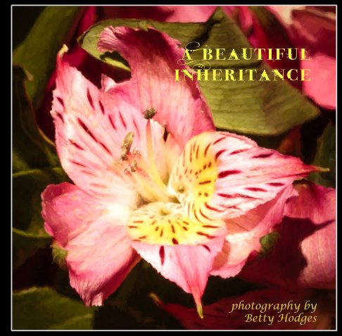 View A Beautiful Inheritance by Betty Hodges