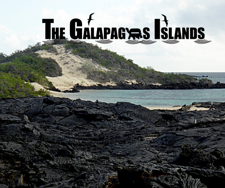 View Galapagos Island by Sue Norrie