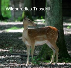 Wildparadies Tripsdrill book cover