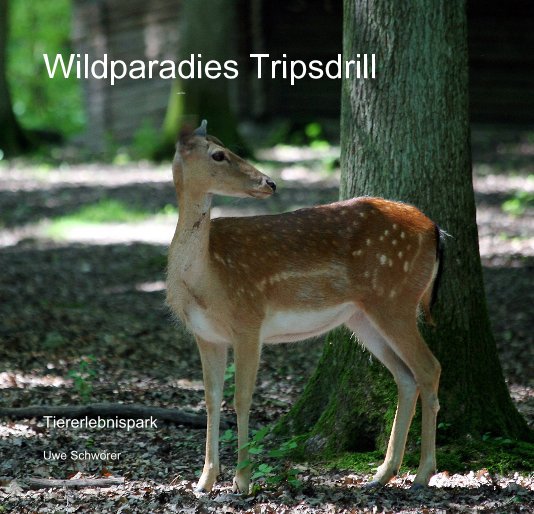 View Wildparadies Tripsdrill by Uwe Schwörer