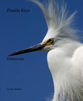 Florida Keys book cover