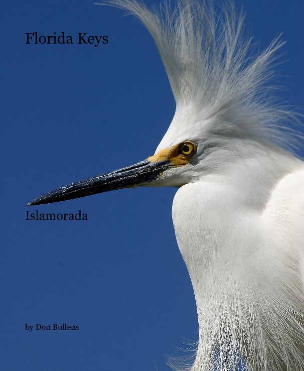 View Florida Keys by Don Bullens