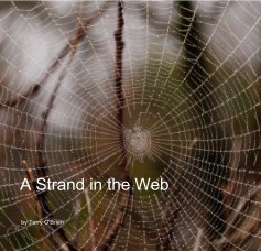 A Strand in the Web book cover