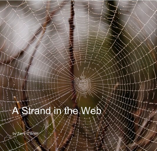 View A Strand in the Web by Terry O'Brien
