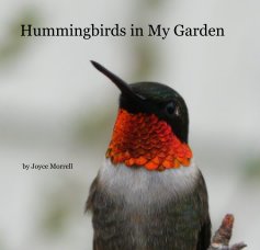 Hummingbirds in My Garden book cover