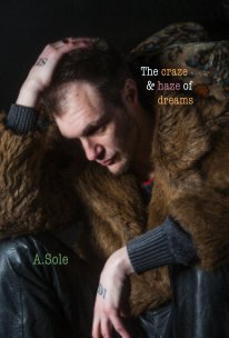 the craze and haze of dreams book cover