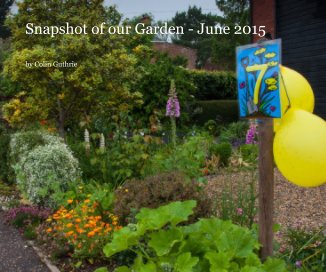 Snapshot of our Garden - June 2015 book cover