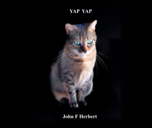 Yap Yap book cover