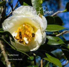 Working Life of Bees book cover