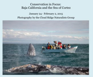 Conservation in Focus: Baja California and the Sea of Cortez book cover