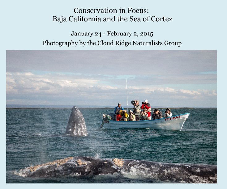 View Conservation in Focus: Baja California and the Sea of Cortez by Cloud Ridge Naturalists Group