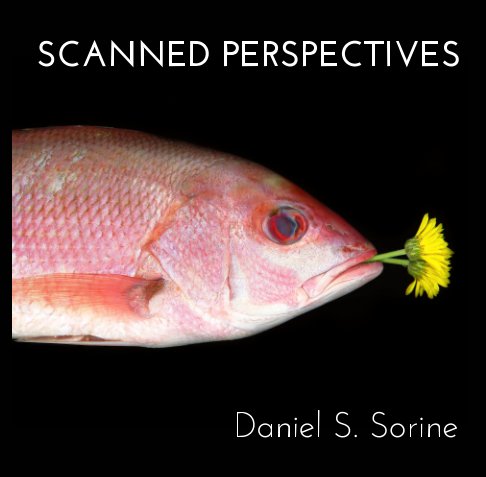 View SCANNED PERSPECTIVES by Daniel S. Sorine