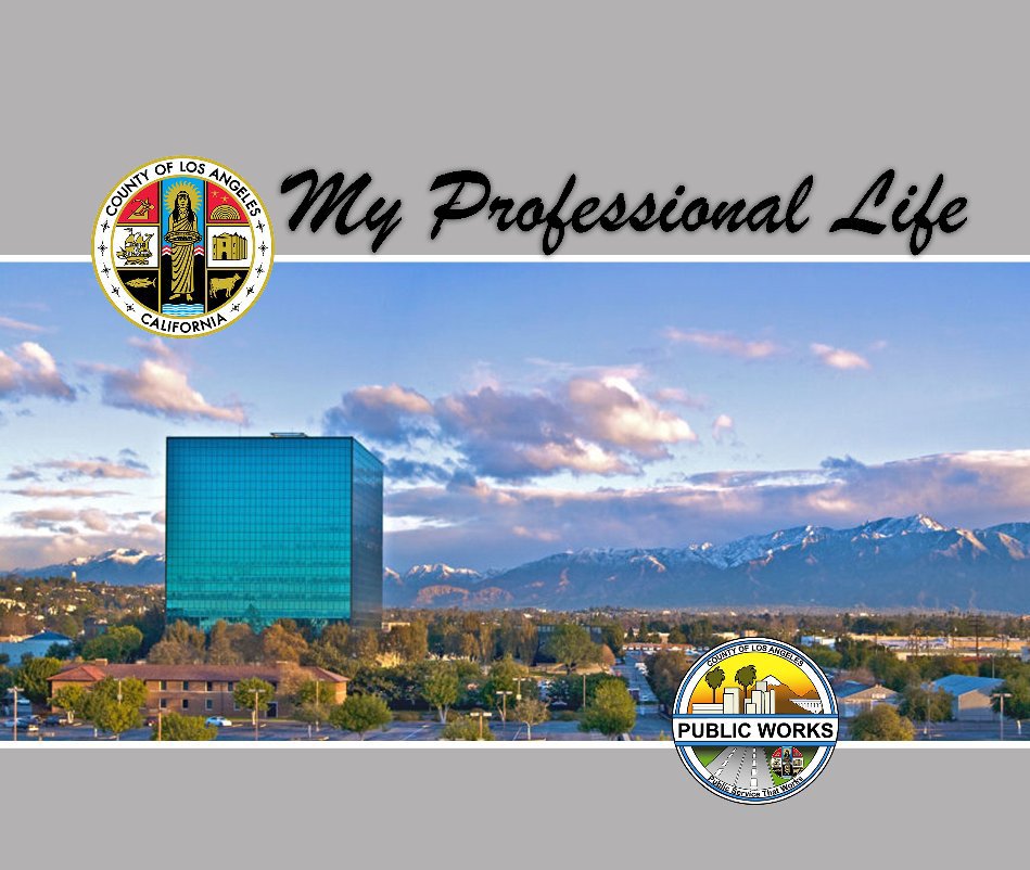 View My Professional Life by Henry Kao