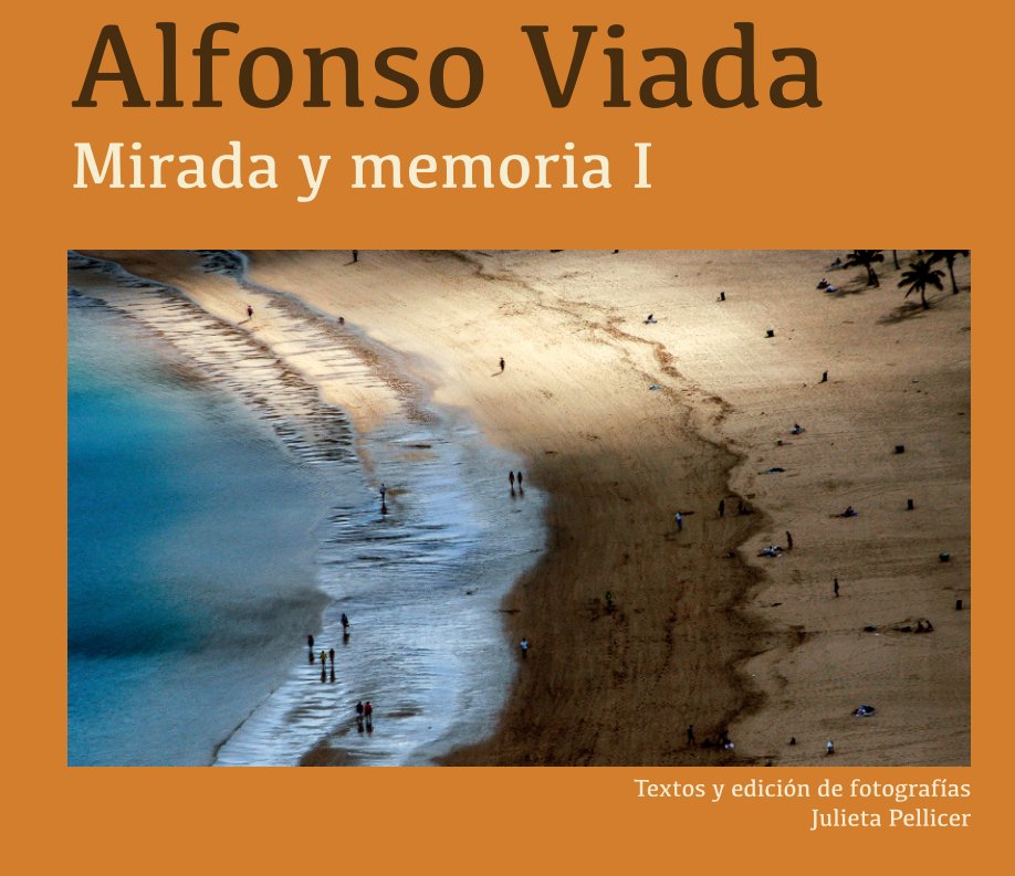 View Alfonso Viada. Mirada y memoria I by Julieta Pellicer