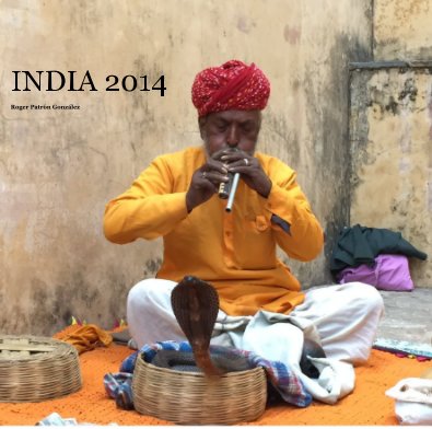India 2014 book cover