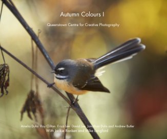 Autumn Colours I book cover