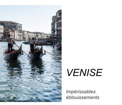 Venise book cover