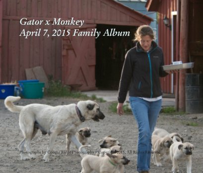 Gator x Monkey
April 7, 2015 Family Album book cover