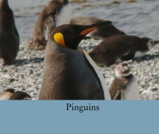 Pinguins book cover
