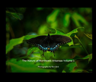 The Nature of Northwest Arkansas Volume 1 book cover