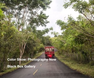 Color Show: Photography Now book cover