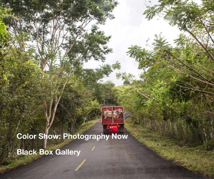View Color Show: Photography Now by Black Box Gallery