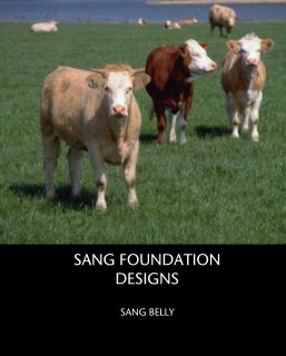 SANG FOUNDATION DESIGNS book cover