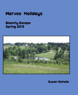 Harvee Holidays book cover