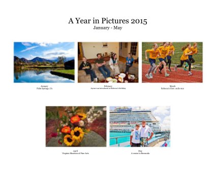 A Year in Pictures 2015 January - May book cover