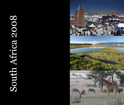 South Africa 2008 book cover
