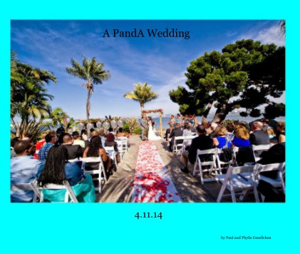 A PandA Wedding book cover