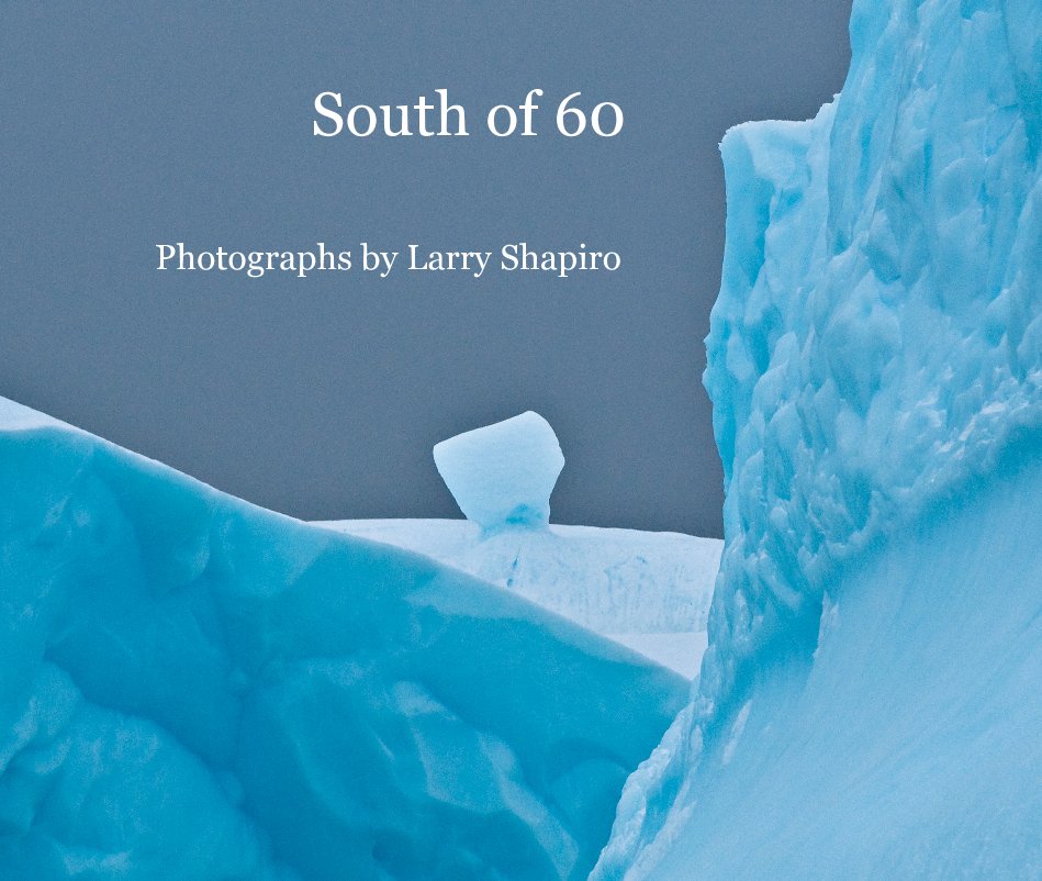 View South of 60 by Larry Shapiro